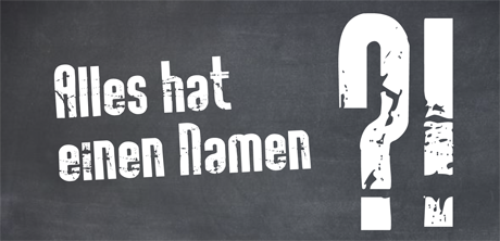 Hoden, Nebenhoden, Hodensack, Samenleiter, Harnröhre, Samenbläschen, Prostata, Cowpersche Drüse, Penis, Schwellkörper, Kranzfurche, Eichel, Vorhaut, Frenulum